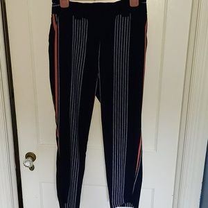 Express High Waisted Navy Striped Pants Size 10